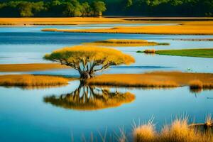 une arbre dans le milieu de une le marais avec l'eau. généré par ai photo