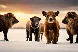 une groupe de marron et noir chiens permanent dans le neige. généré par ai photo