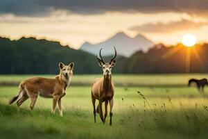 deux cerf sont permanent dans le herbe à le coucher du soleil. généré par ai photo