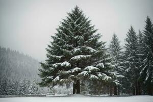 glacial forêt félicité neigeux hiver pays des merveilles ai génératif photo