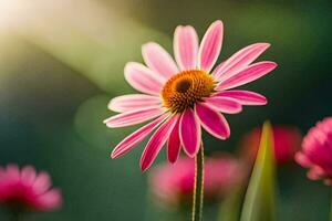 rose fleurs dans le Soleil avec une floue Contexte. généré par ai photo