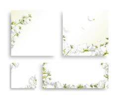 beau cadre de fleurs de printemps, invitation, carte de mariage photo
