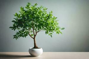 bonsaï arbre dans une blanc pot sur une tableau. généré par ai photo