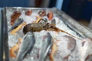 fruits de mer frais et crus sur glace à vendre. photo