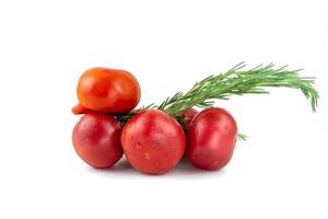 figure d'oiseau drôle de tomates rouges et de branche de romarin isolée photo