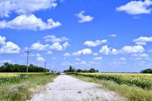 route de campagne sous un ciel bleu photo