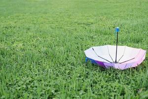 parapluie coloré sur l'herbe photo