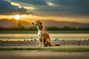 une chien séance sur le plage à le coucher du soleil. généré par ai photo