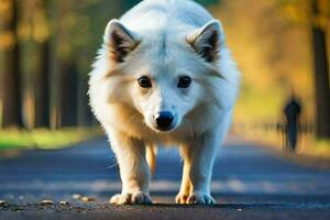 une blanc chien en marchant sur une route dans le les bois. généré par ai photo