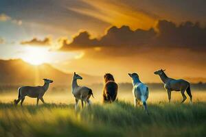 animaux dans le prairie, coucher de soleil, animaux, animaux dans le prairie, animaux dans. généré par ai photo