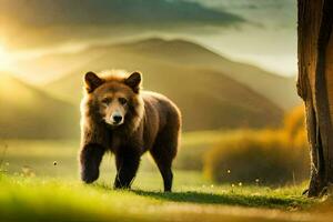 une ours en marchant par une champ à le coucher du soleil. généré par ai photo