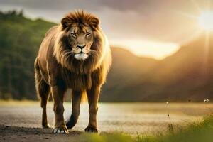 une Lion en marchant sur une route à le coucher du soleil. généré par ai photo