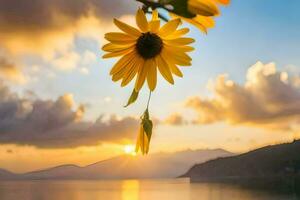 tournesol pendaison de le branche à le coucher du soleil. généré par ai photo