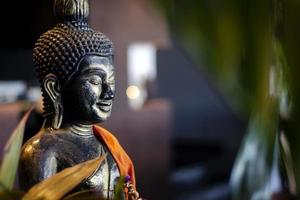 statue de bouddha dans le jardin intérieur au bar tropical à bangkok, thaïlande photo