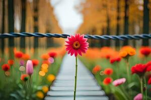 une Célibataire fleur est permanent sur une en bois passerelle. généré par ai photo