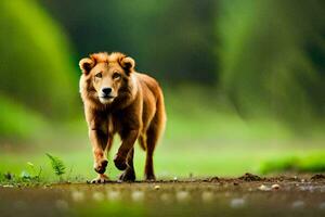 une Lion en marchant sur une saleté route dans le milieu de une champ. généré par ai photo