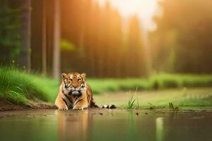 une tigre est en marchant le long de le bord de une étang. généré par ai photo