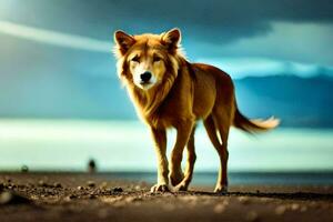 une chien en marchant sur le plage avec une foncé ciel. généré par ai photo