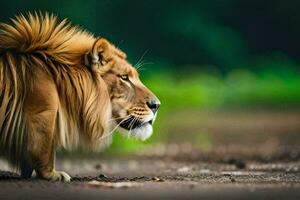 une Lion est en marchant sur le sol. généré par ai photo