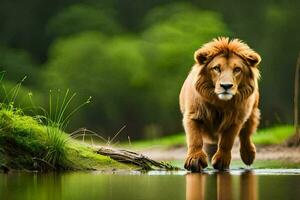 une Lion en marchant à travers une rivière dans le forêt. généré par ai photo