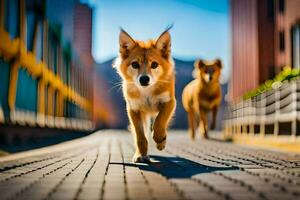 deux chiens fonctionnement sur une brique route dans le ville. généré par ai photo