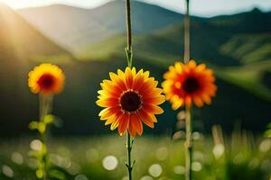 tournesols dans le champ. généré par ai photo