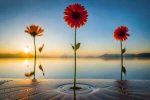 Trois fleurs supporter dans le l'eau à le coucher du soleil. généré par ai photo