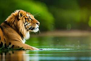 une tigre séance dans le l'eau à la recherche à le caméra. généré par ai photo