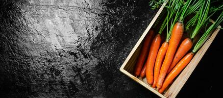 Frais carottes dans vieux boîte. photo