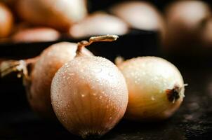 Frais oignons . sur table photo