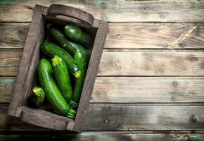 mûr Zucchini dans le boîte. photo