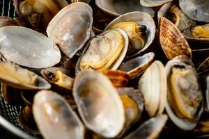 Frais vongole. macro Contexte. texture vongole. photo