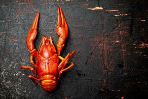 un rouge bouilli écrevisse sur le tableau. photo