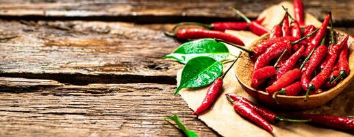 chaud le Chili poivrons avec feuilles sur une plaque. photo