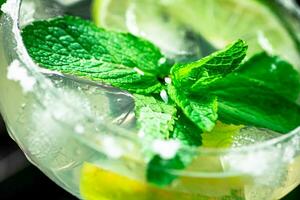 Margarita avec menthe et citron vert feuilles. photo