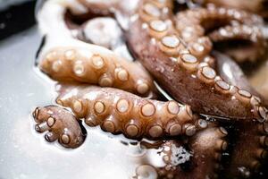 le tentacules de le poulpe sont bouilli dans l'eau. photo