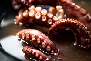 le tentacules de le poulpe sont bouilli dans l'eau. photo