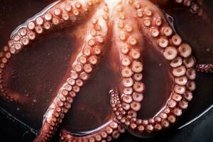 le tentacules de le poulpe sont bouilli dans l'eau. photo