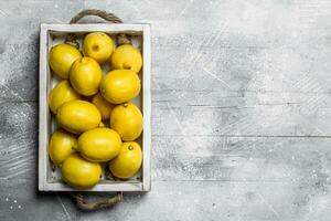 Frais citrons dans le plateau. photo