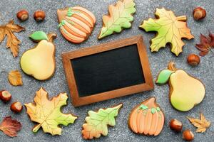 multicolore l'automne fait maison biscuits photo