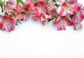 magnifique alstroemeria fleurs sur blanc Contexte photo