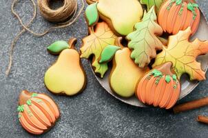 multicolore l'automne fait maison biscuits photo