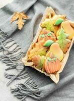 multicolore l'automne fait maison biscuits dans une cadeau boîte photo