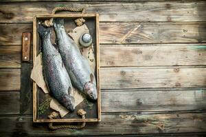 brut mer poisson Saumon sur une en bois plateau avec thym. photo
