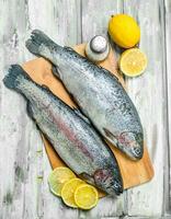 brut poisson Saumon avec citron. photo