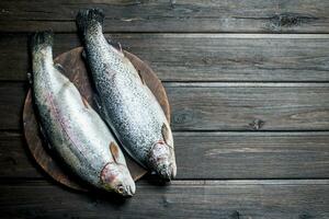 brut poisson Saumon sur le planche. photo