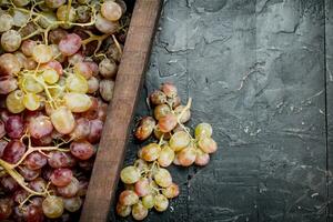 rose les raisins dans le boîte. photo