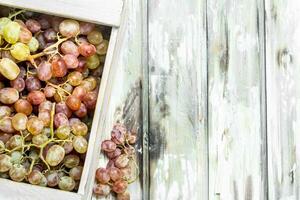 rose les raisins dans le boîte. photo
