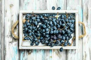 noir les raisins sur une plateau. photo