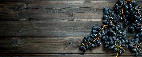 mûr noir les raisins. photo